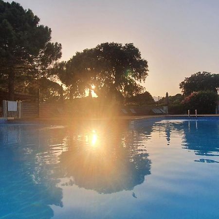 Fiori Di Cala Rossa Appartement T3 Dans Residence Hotelliere Chez Virginie 里奇 外观 照片
