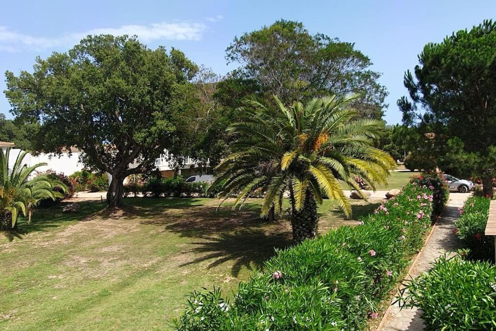 Fiori Di Cala Rossa Appartement T3 Dans Residence Hotelliere Chez Virginie 里奇 外观 照片